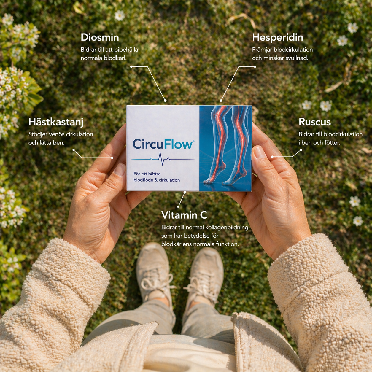 CircuFlow
