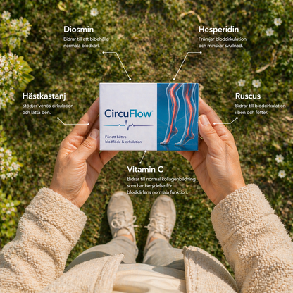 CircuFlow